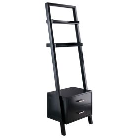 Modern Black 2 Drawer Shelf with Leaning Ladder