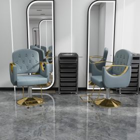 Hydraulic Salon Chair 360  Swivel - Professional Barber Stylist Chair With Pump  Non-Tilting Hairdressing Chair For Salon Tattoo Spa  Blue Gold S (Option: Blue)