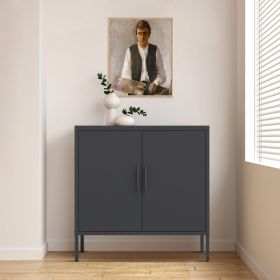 Black Metal Storage Cabinet with 2 Doors And Adjustable Shelves (Color: Black)