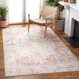 Traditional Persian Style Washable Boho Light Grey Red Area Rug (size: 5-Ft. X 8-Ft.)