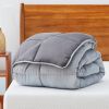 All Seasons Plush Reversible Polyester Down Alternative Comforter