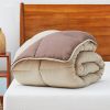 All Seasons Plush Reversible Polyester Down Alternative Comforter