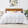Cozy All Seasons Plush Polyester Down Alternative Comforter
