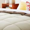 All Seasons Plush Reversible Polyester Down Alternative Comforter