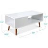 Modern Mid-Century Coffee Table with Storage Shelf