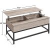 Modern Metal Lift Top Coffee Table/Laptop Desk